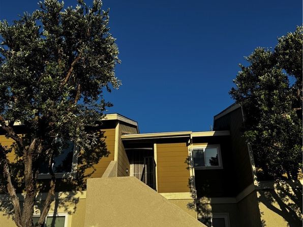 26312 Los Viveros APT F