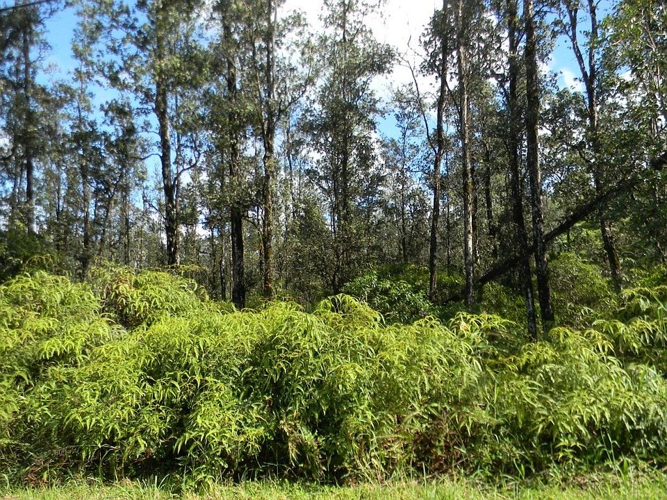 1st image of Aulii St Lot 10