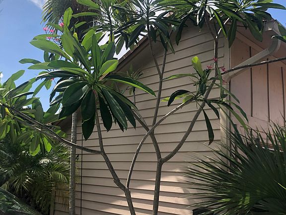 2nd image of 2400 SW 19th Ave APT 104