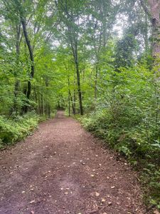 76XX 470th St, Harris, MN, 55032