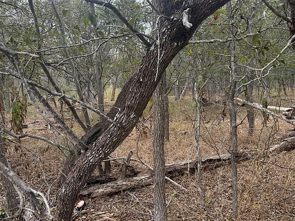 3rd image of Lots 298 300 Riverside Dr