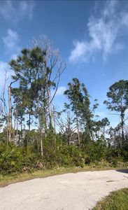 12370 Kitchin Ct #20, Pt Charlotte, FL, 33981