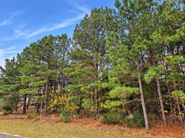 0 Mallard Way Lot 401, Larue, TX 75770