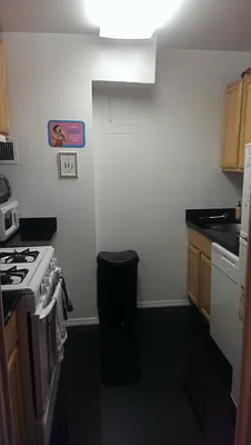 Rented by Manhattan Apartment Organization | media 27