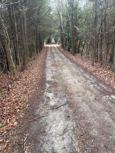 10824 State Highway 700, Pelham, NC, 27311