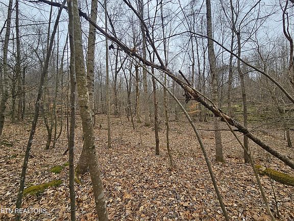 5th image of Wilderness Rd