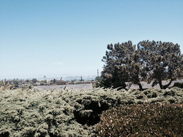 1st image of 1224 Catalina Blvd