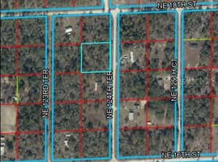 00 NE 124TH TERRACE LOT 1, WILLISTON, FL 32696