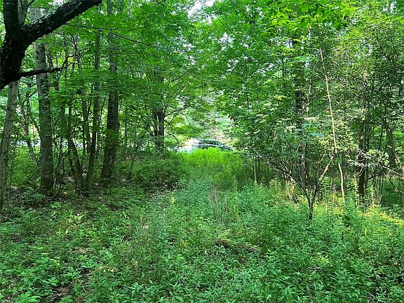 3rd image of Bramley Mountain Rd Lot 9