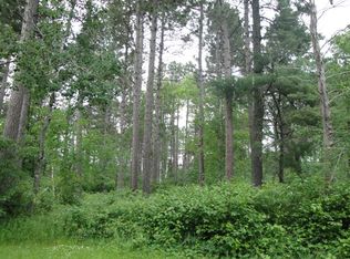 Lot 10 Flagstone Rd, Nevis, MN 56467