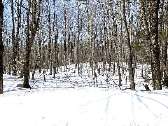 4th image of Town Line Rd Lot 44