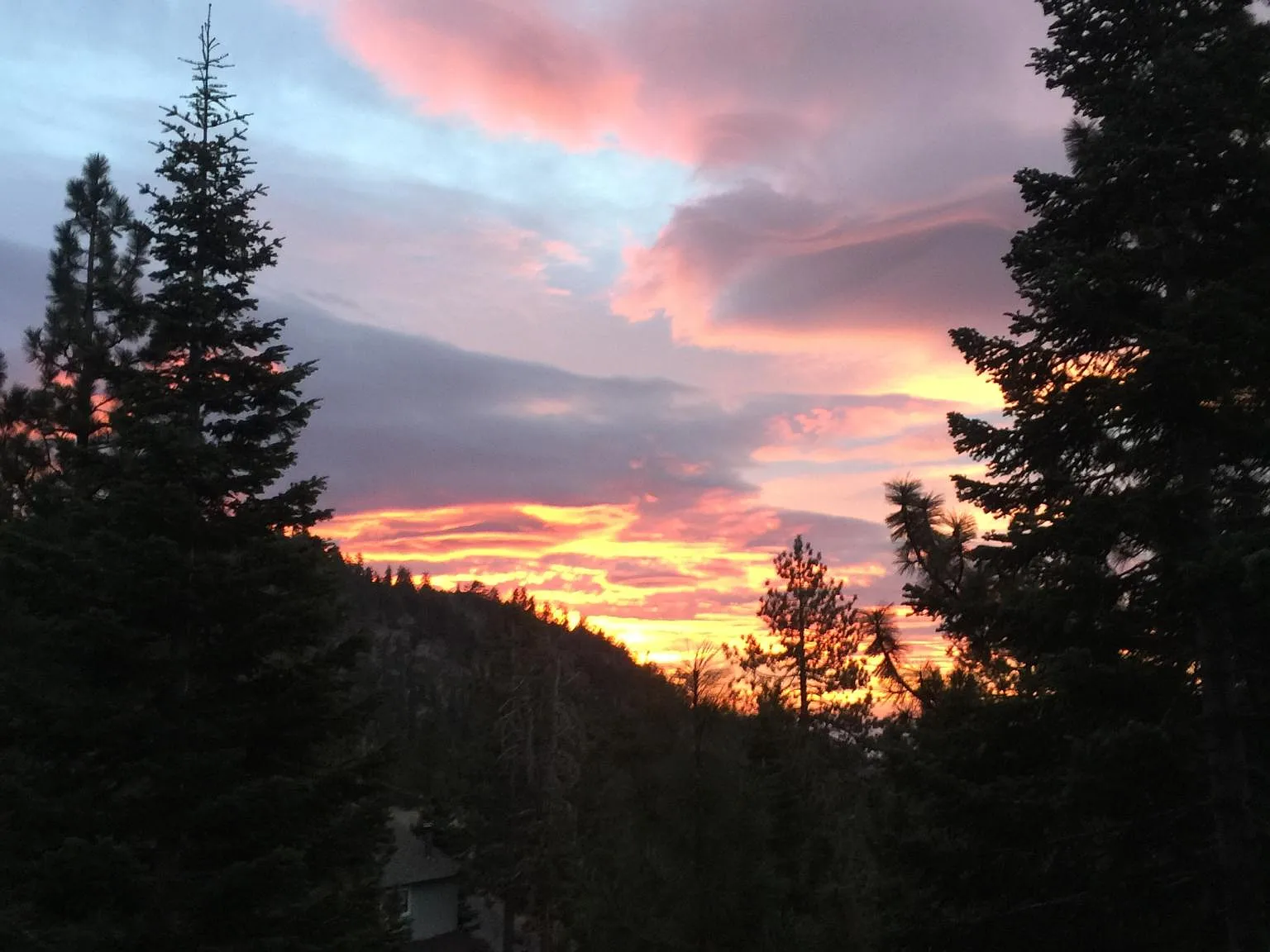 4 bed, 1980 sqft, $3,400 — Photo 4