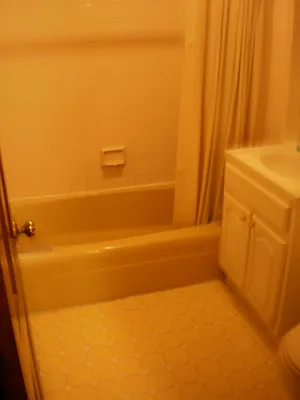 Rented by Frank Valvo Real Estate | media 19