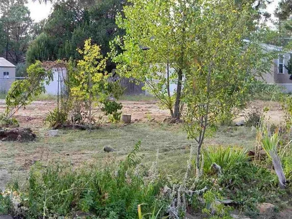 2884 Holiday Forest Dr, Overgaard, AZ 85933