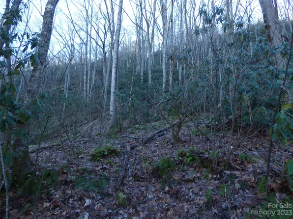 0 Lori Ln #H7-h8, Sylva, NC 28779