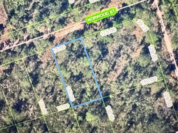 1017 Norwood St, Lake Placid, FL 33852