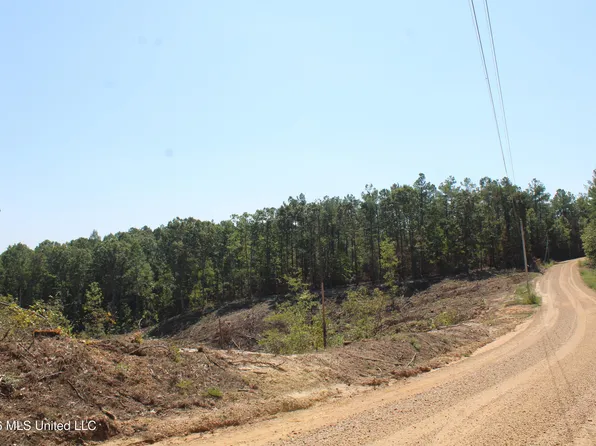 350 Baumann Rd, Hickory Flat, MS 38633