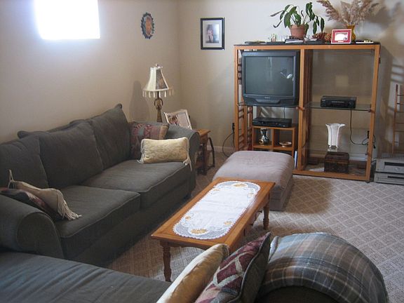 Lower level living room