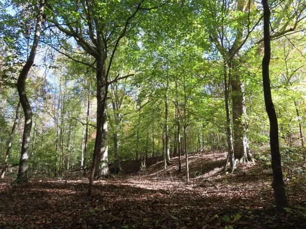 Blackwell Dr, Kershaw, SC 29067