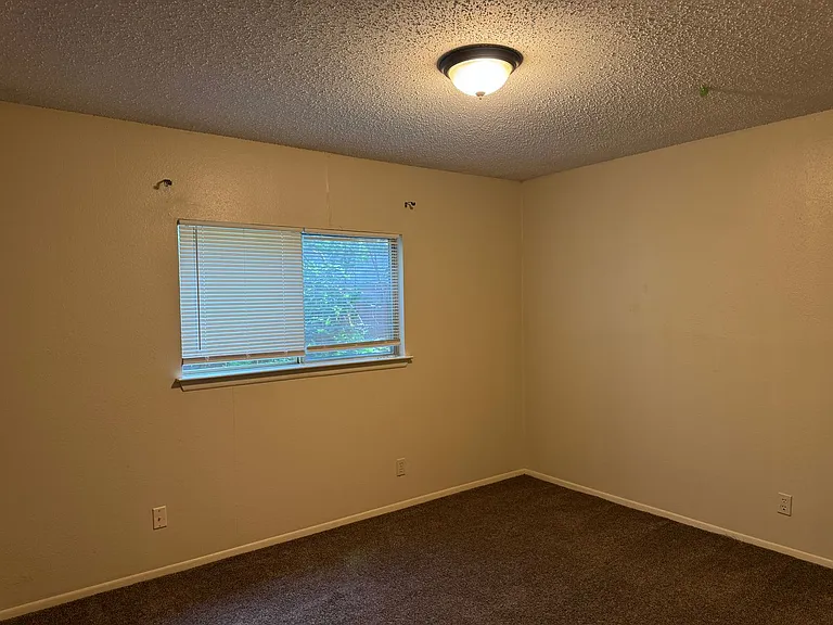 8251 Sunshine Trail Dr — Photo 12