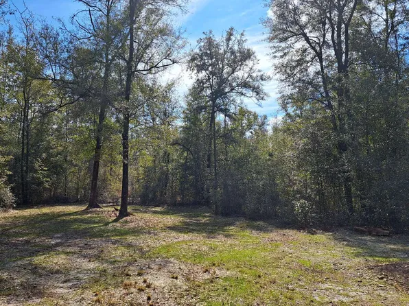 SW Drake Pl, Fort White, FL 32038