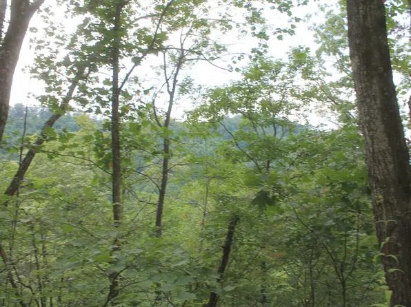 3 Straight Fork Rd, Huntsville, TN 37756