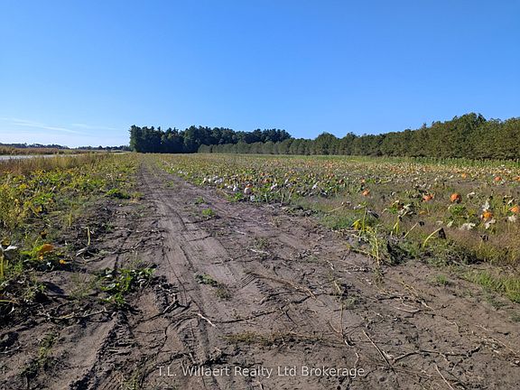 2nd image of 7343 Plank Rd