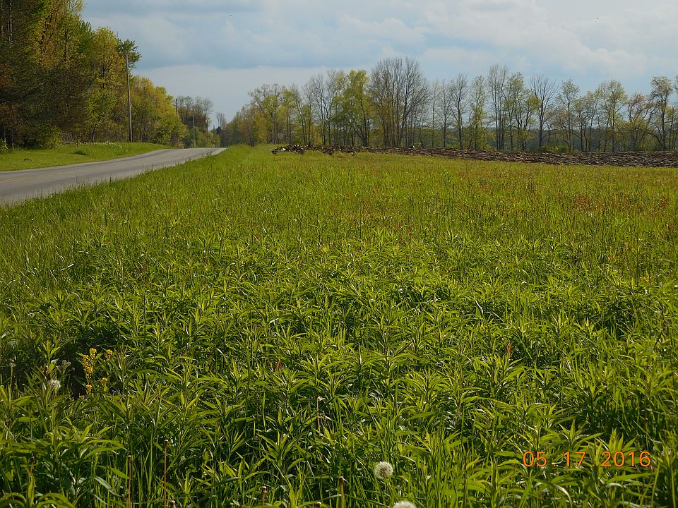 see gallery for home example