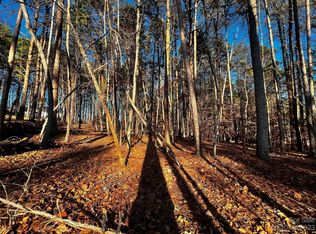 129 Hunt Camp Trl #15, Davidson, NC 28036