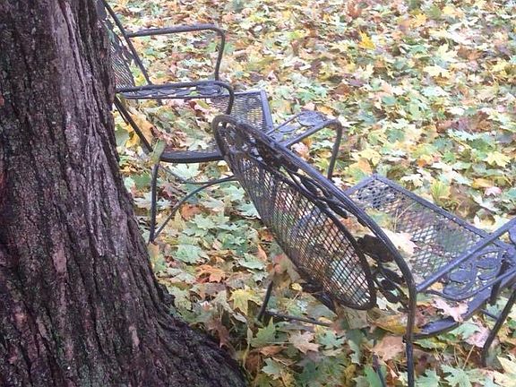 Under a maple in front yard