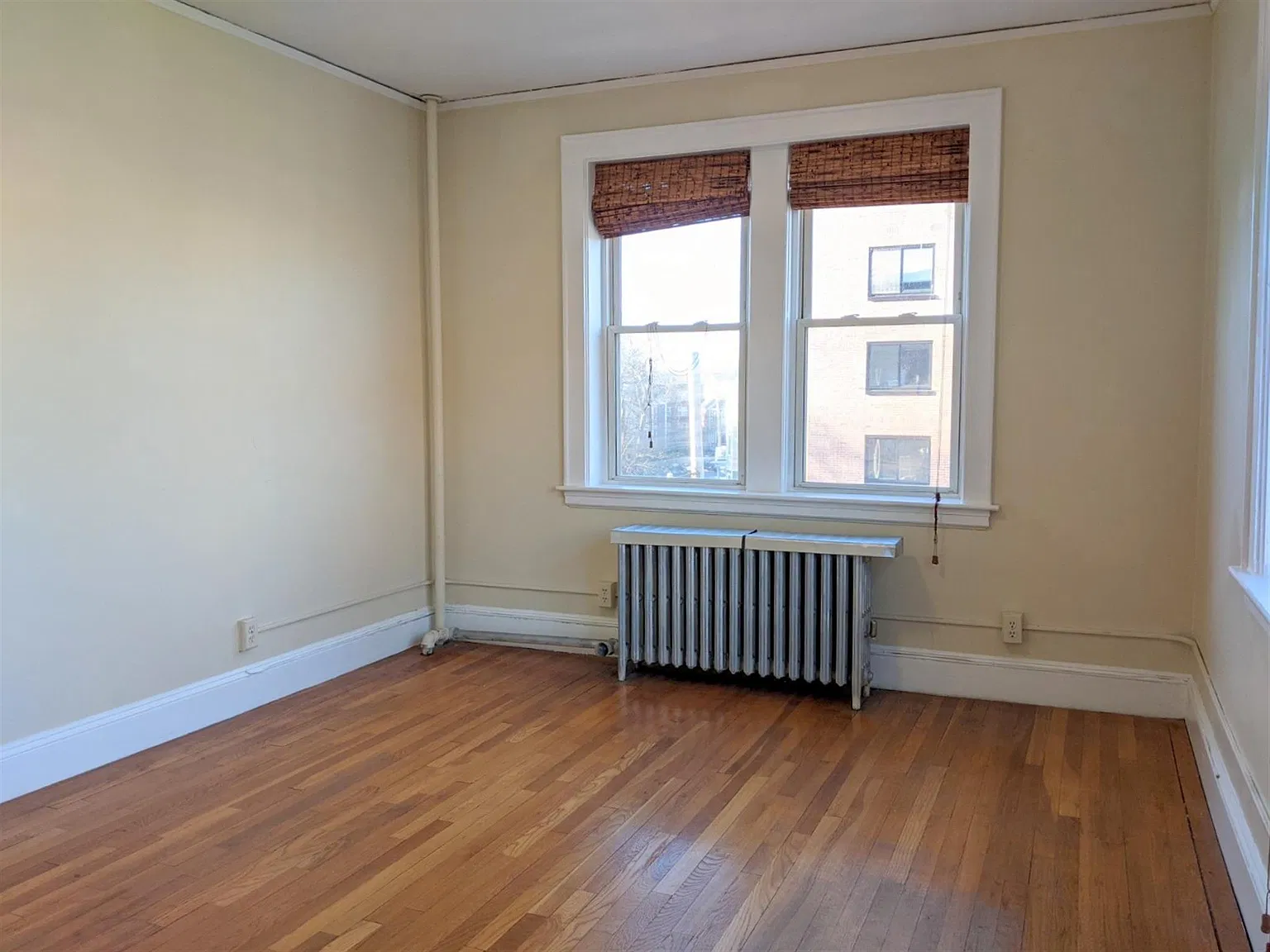 1 bed, 650 sqft, $2,800 — Photo 4
