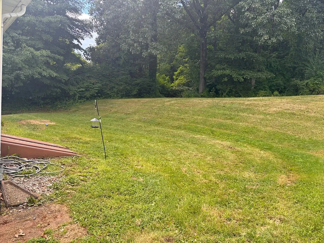 3 bed, 1.0 bath, 1008 sqft, $2,800 — Photo 3