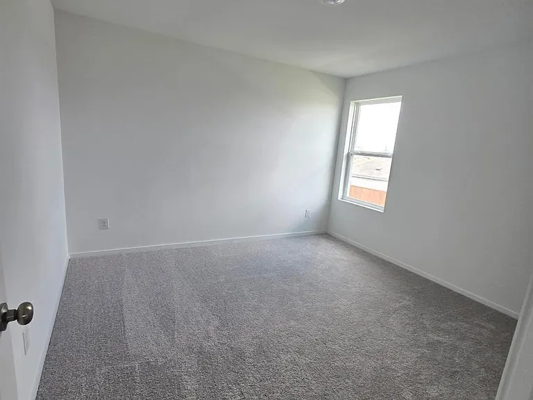 26706 Dalmatian Bellflower Dr — Photo 14