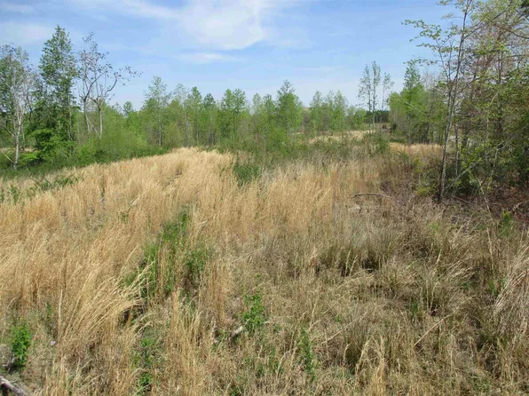 3907 Old State Highway 69, Sugar Tree, TN 38380