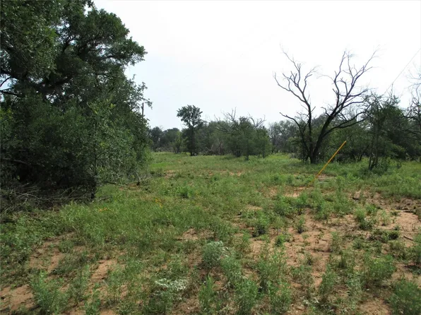 Township Road 1 Hoffman Rd, Loving, TX 76460