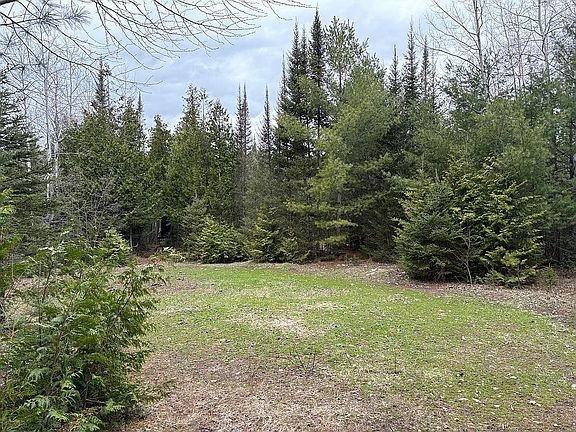 Bow food plot