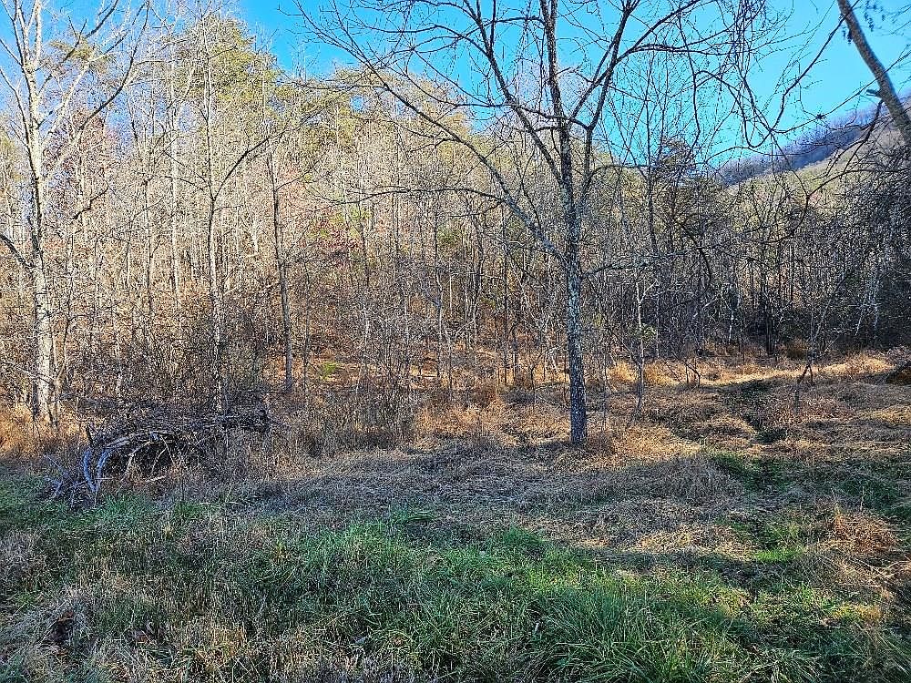 Tbd Cleghorn Valley Rd, Marion, VA 24354 MLS 91920 Zillow