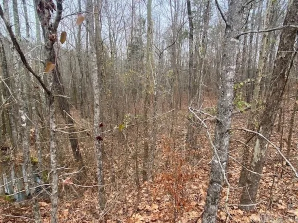 LOT 77 Mustang Dr, Clinton, AR 72031