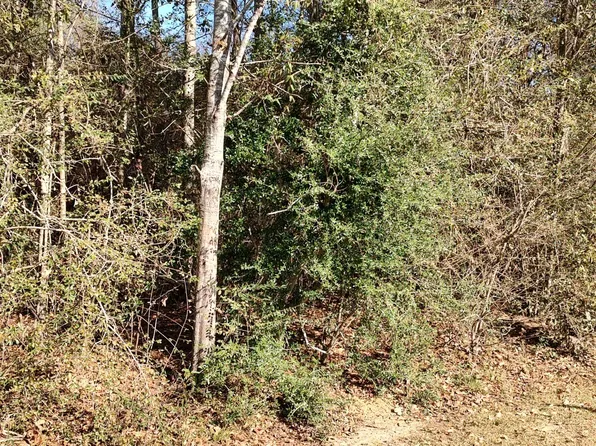 No Sharon Ln, Lumberton, MS 39455