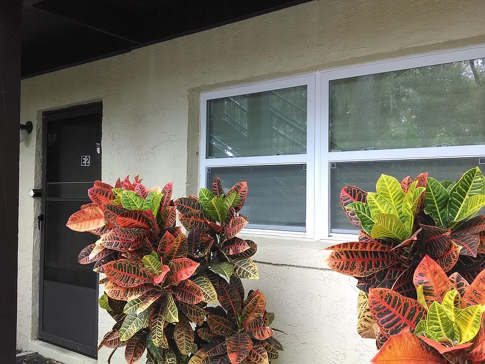 Ground Floor - walk right in