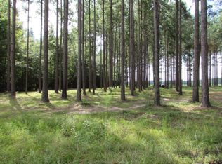 147 Knox Polk Rd, Columbia, MS 39429