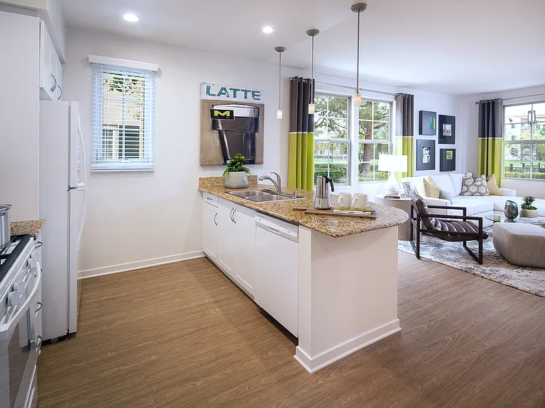 The Enclave at South Coast — Photo 11