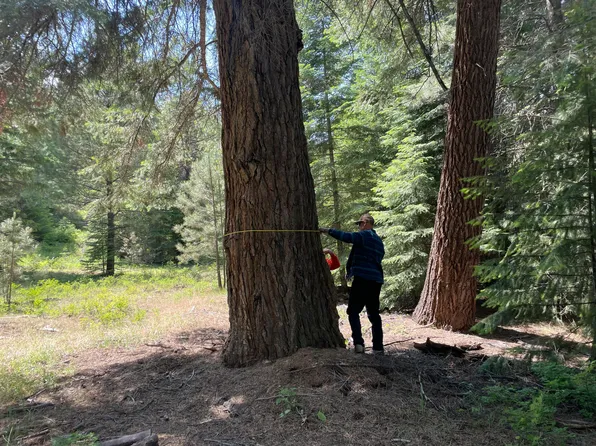 Franks Creek Rd, Dayville, OR 97825