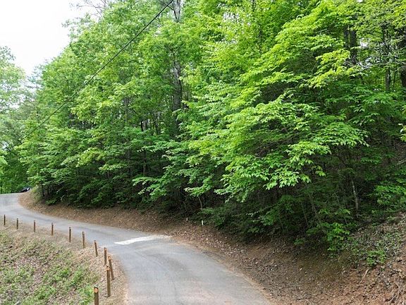 3rd image of Lot 13 Dogwood Trail LOT 13