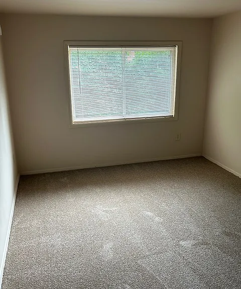 Southern Terrace — Photo 24