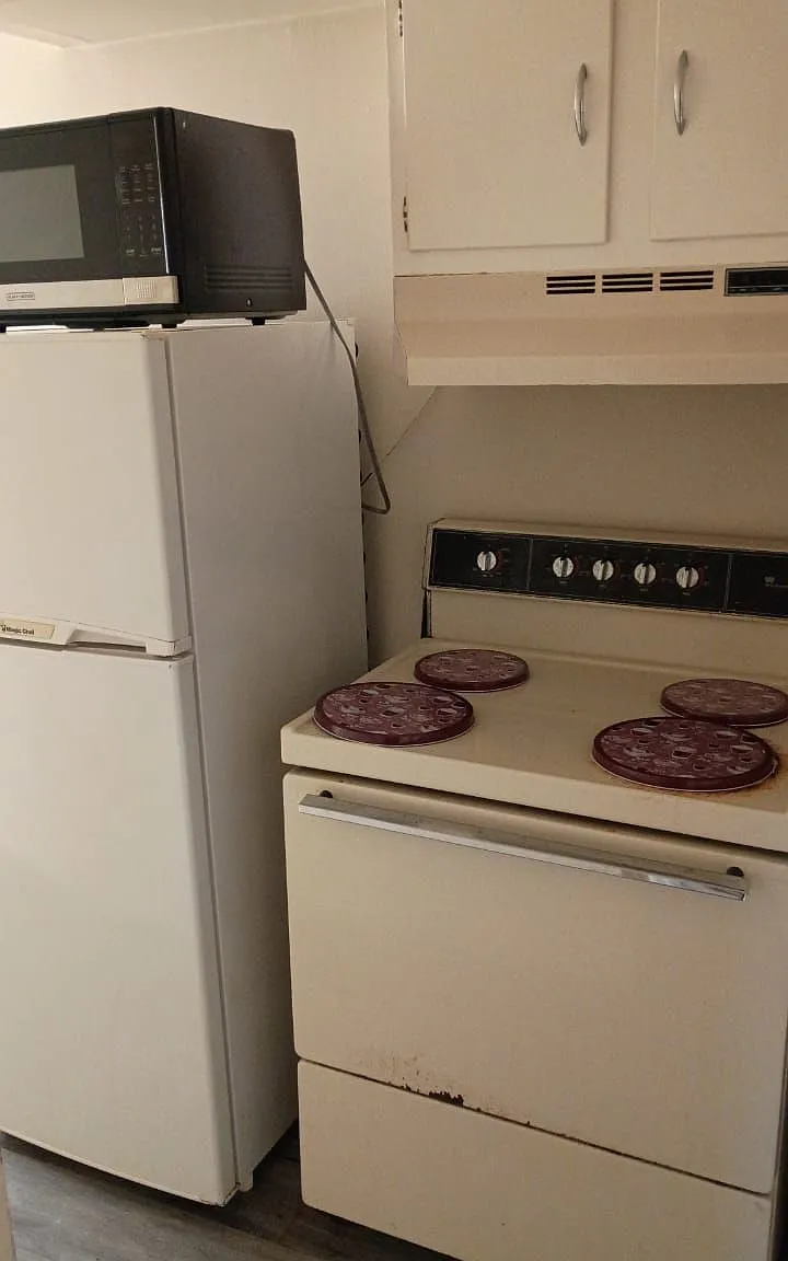 1 bed, 1.0 bath, $800 — Photo 4