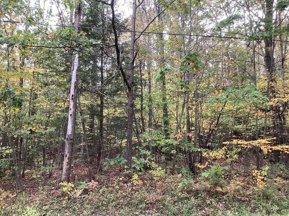 101 Butterfield Rd, Lisle, NY 13797