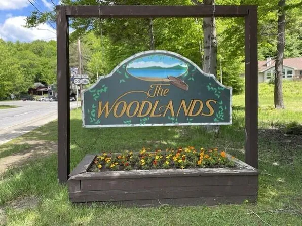 LOT 18 State Route 30, Blue Mountain Lake, NY 12812