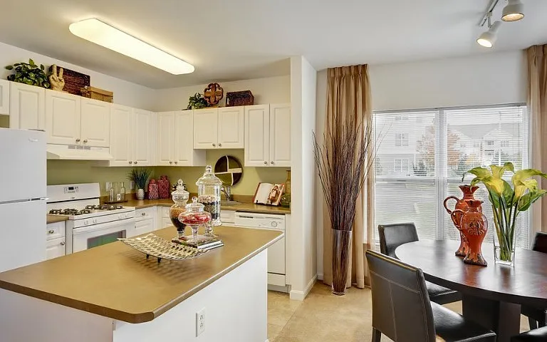 Kitchen area in classic apartment home
