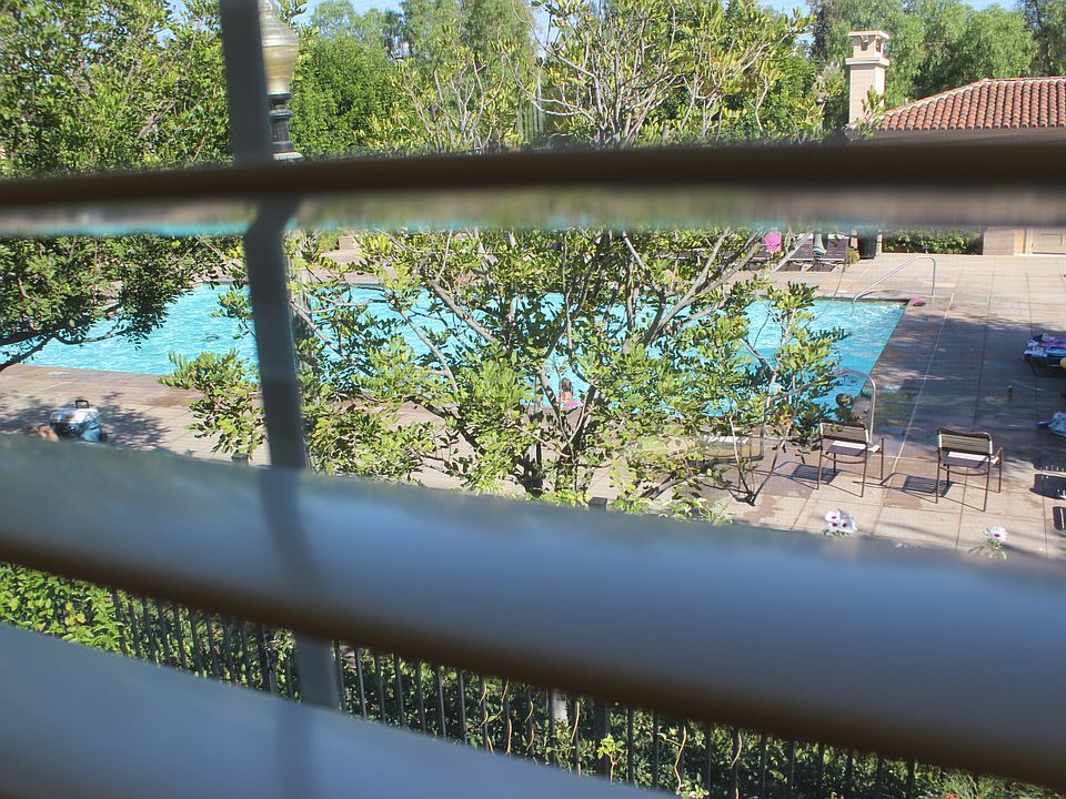 Pool/garden view
